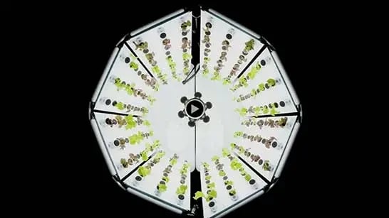 Indoor Hydroponic Garden - Flex Farm | Fork Farms